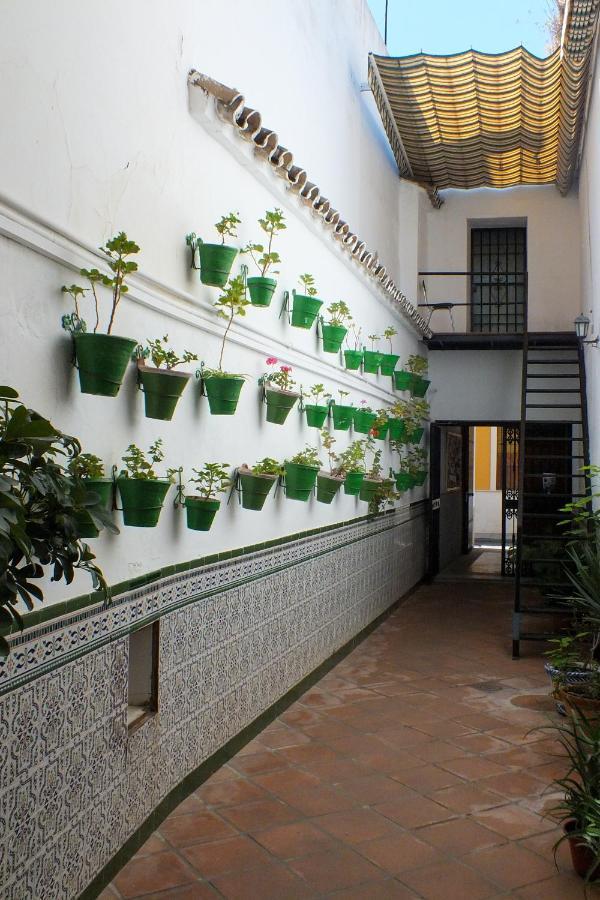 El Patio De Santiago Hotel Córdoba Eksteriør billede