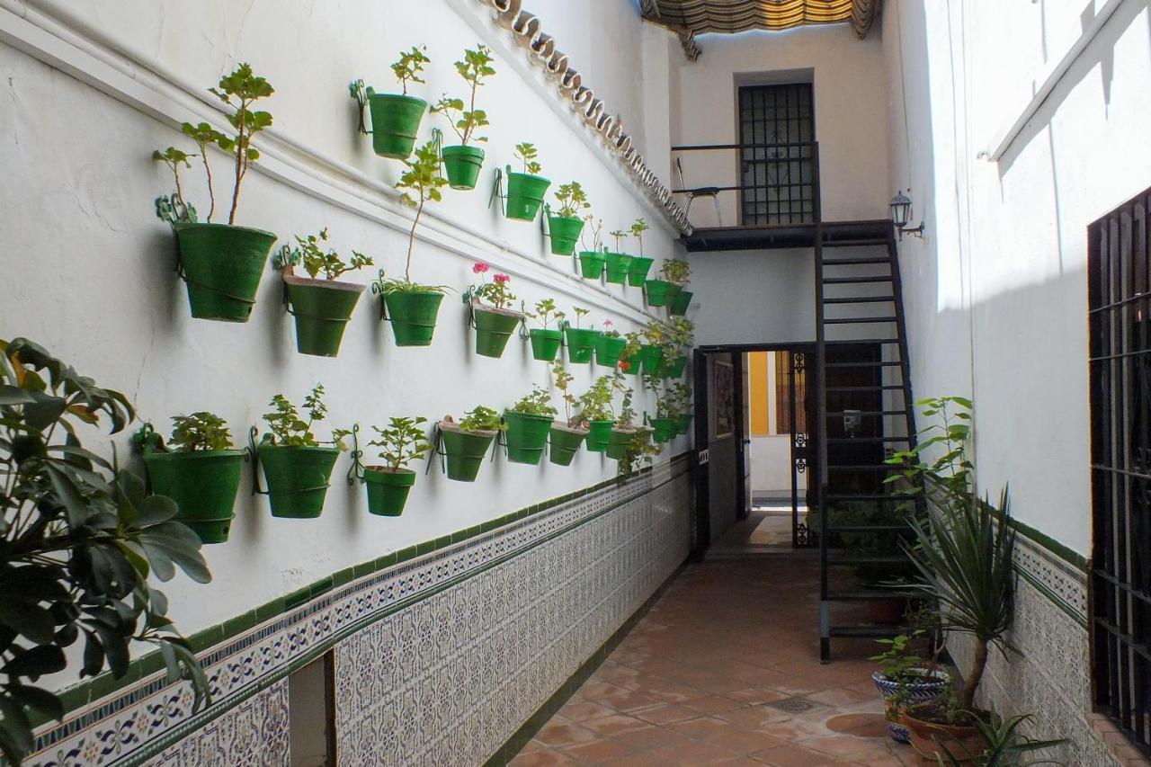 El Patio De Santiago Hotel Córdoba Eksteriør billede